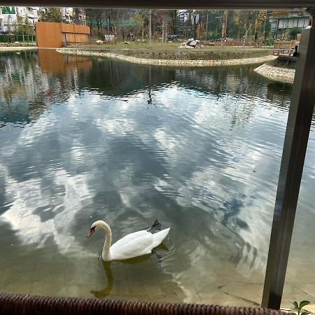Mb Luxury Apartments Tirana Buitenkant foto